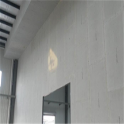 绵阳宁波ALC板|EPS加气板隔墙与混凝土整浇联接的实验研讨